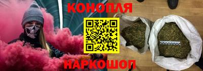 гашик Дубна