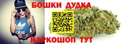 гашик Дубна