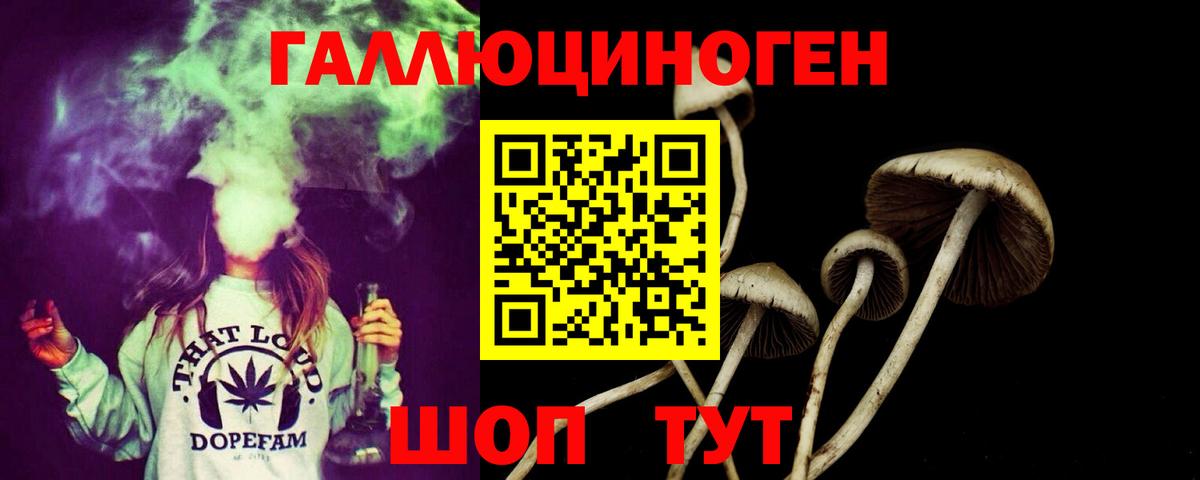 Псилоцибиновые грибы Cubensis Магадан